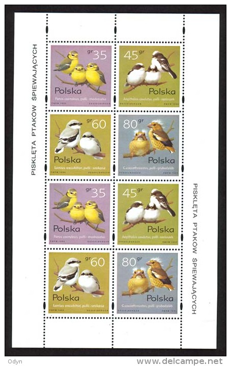 Poland 1995, Block 114 I (MiNr 3567-70) Chicks Of Songbirds, MNH ** - Blocs & Feuillets