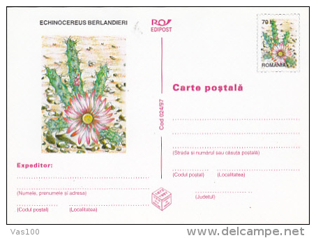 CACTUSSES, 6XPC STATIONERY, ENTIERE POSTAUX, 1997, ROMANIA - Sukkulenten