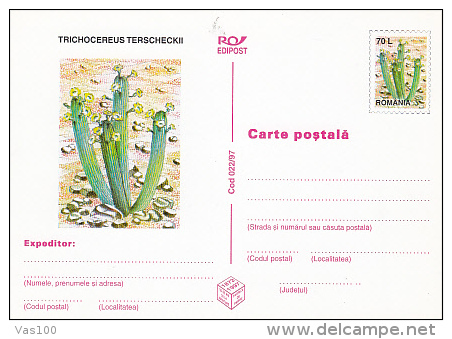 CACTUSSES, 6XPC STATIONERY, ENTIERE POSTAUX, 1997, ROMANIA - Sukkulenten