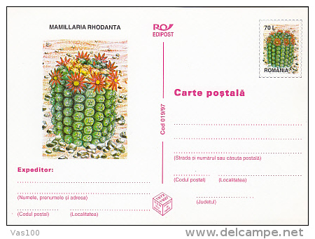 CACTUSSES, 6XPC STATIONERY, ENTIERE POSTAUX, 1997, ROMANIA - Cactus