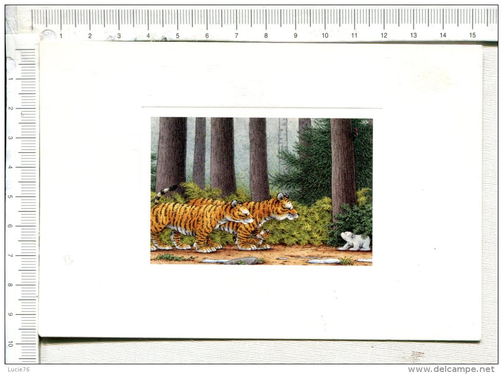 PLUME  Au Pays Des  TIGRES  -  D Après Aquarelle  - Ourson - Tigers