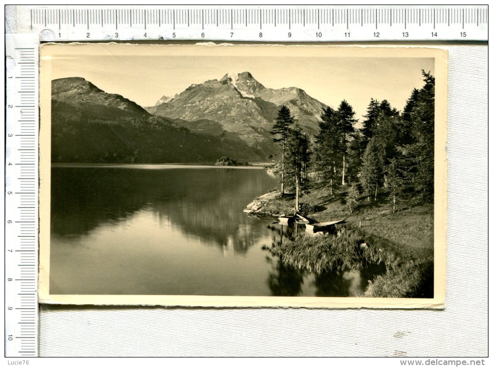 SILS  Im Engadin - Halbinsel Chasté - Blick Auf Piz Della Margna - Sils Im Engadin/Segl