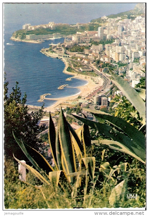 MONACO - Principauté - Vue Panoramique De La Plage Du Larvotto Monte-Carlo Et Le Rocheer De Monaco - W-2 - Multi-vues, Vues Panoramiques