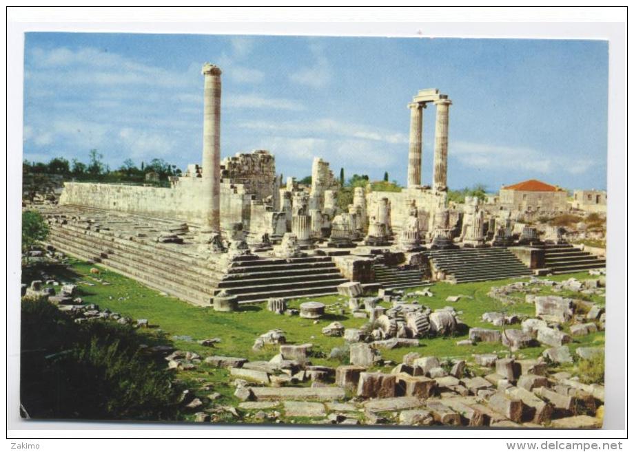 TURQUIE --DIDIM TEMPLE APPOLON -RECTO VERSO -E16 - Turchia