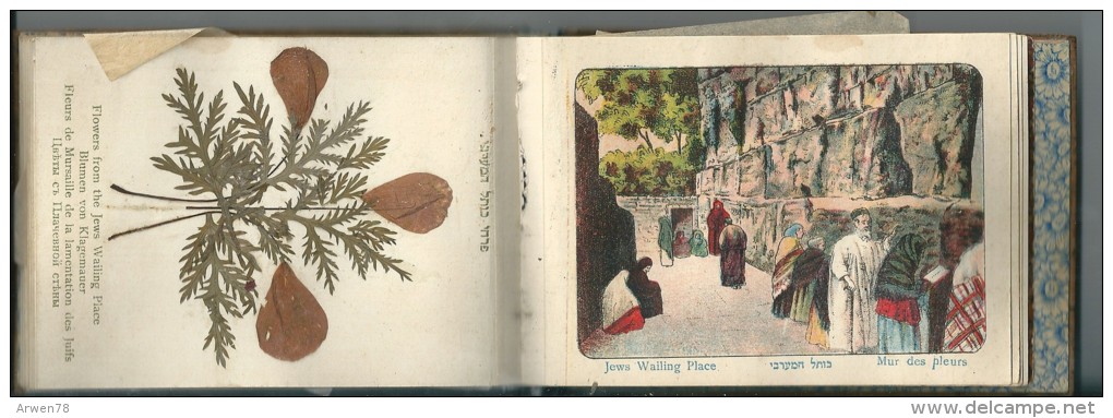 carnet souvenir de l'occupation anglaise a jerusalem herbier bois d'olivier 1917 W II tout scané