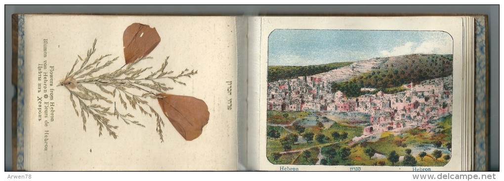 carnet souvenir de l'occupation anglaise a jerusalem herbier bois d'olivier 1917 W II tout scané