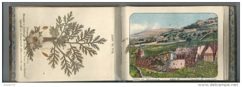 carnet souvenir de l'occupation anglaise a jerusalem herbier bois d'olivier 1917 W II tout scané