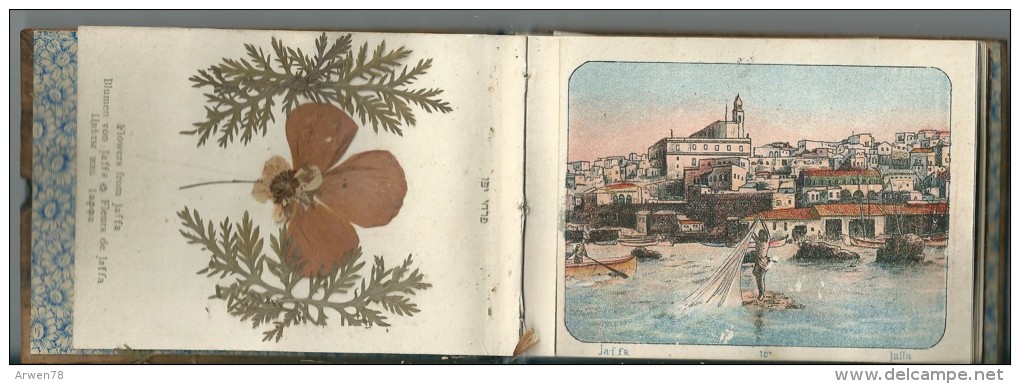 carnet souvenir de l'occupation anglaise a jerusalem herbier bois d'olivier 1917 W II tout scané