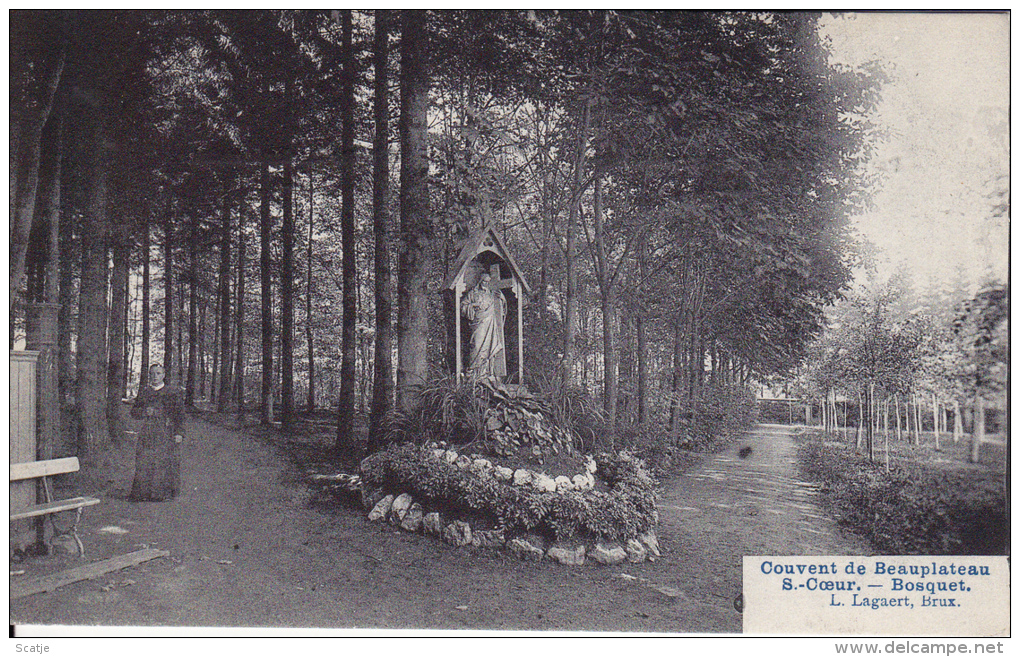 Bosquet.  -  Couvent De Beauplateau S´ Coeur. - Sainte-Ode