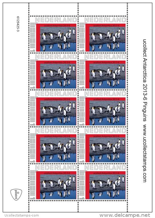 Nederland 2013-6  Ucollect Antartica Pinguins  Vel-feuillet-sheetlet Postfris/mnh/sans Charniere - Unused Stamps