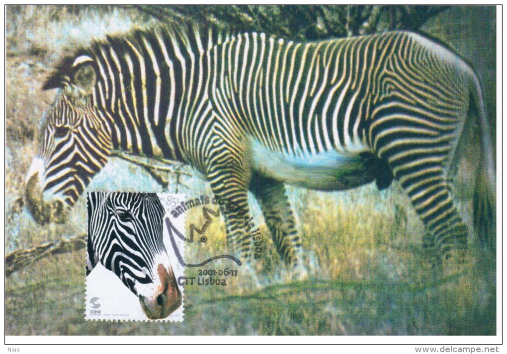 Portugal 2001 Fauna Zebra Rhino Rhinoceros Animal Mammal Horse - Cartes-maximum (CM)