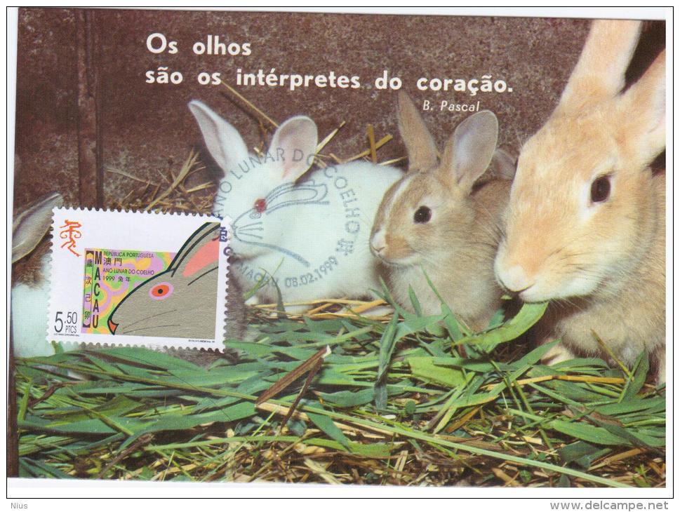 Macau Macao 1999 Fauna Rabbit Hare Animal Mammal - Lapins