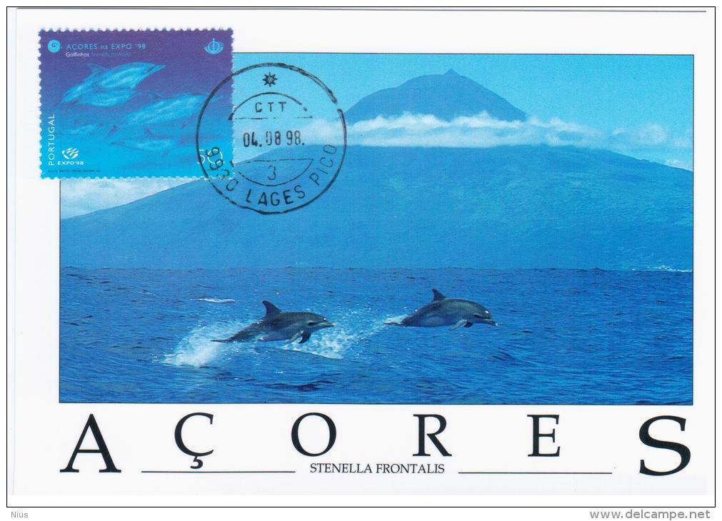 Portugal 1998 Fauna Dolphin Dolphins Animal Fish Fishes Marine Mamal Life - Dolphins