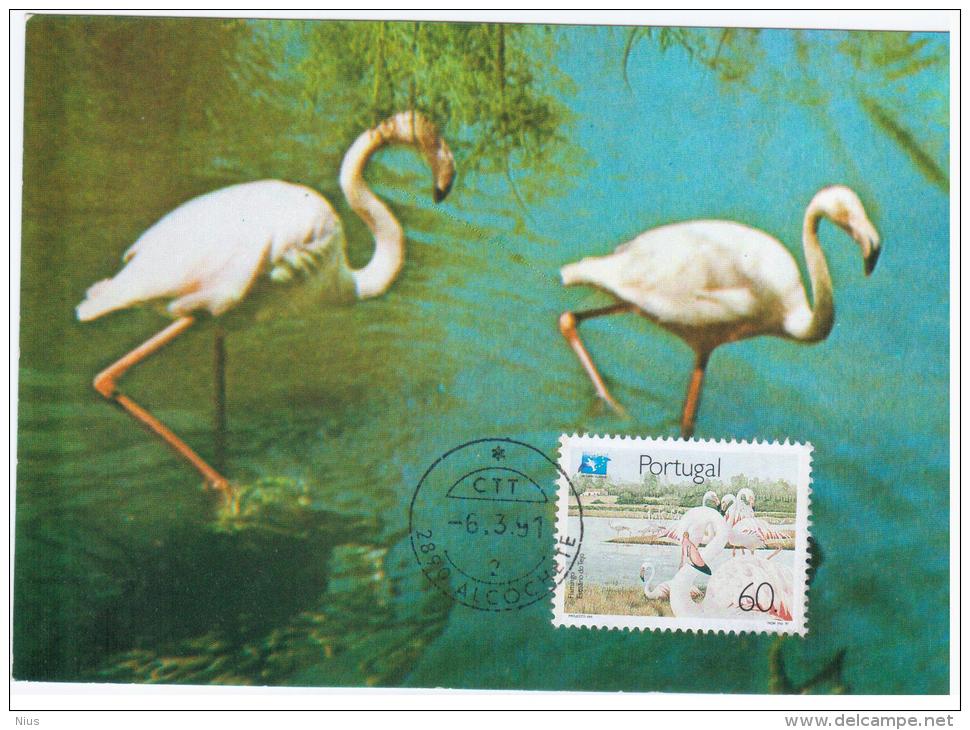 Portugal 1991 Fauna Flamingo Bird Birds - Flamingos