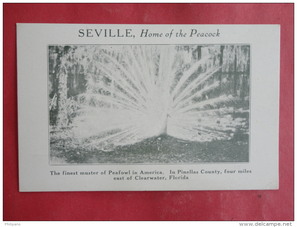 Clearwater,FL--Seville Home Of The Peacock--not Mailed--PJ159 - Clearwater