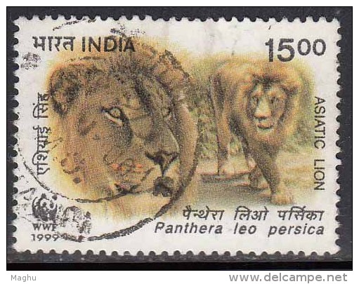 India MNH , 15r Endengered Species, Asiatic Lion, Animal,  (sample Image) - Oblitérés
