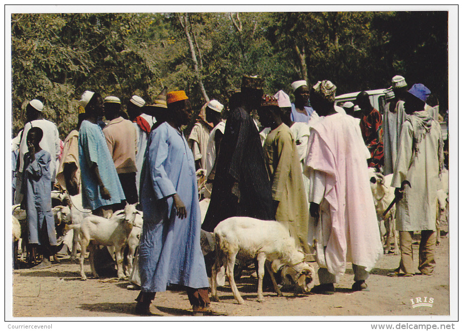 8 CPM - AFRIQUE EN COULEURS  - Pêche - Marchés, Personnages - SUPERBES... - Sin Clasificación