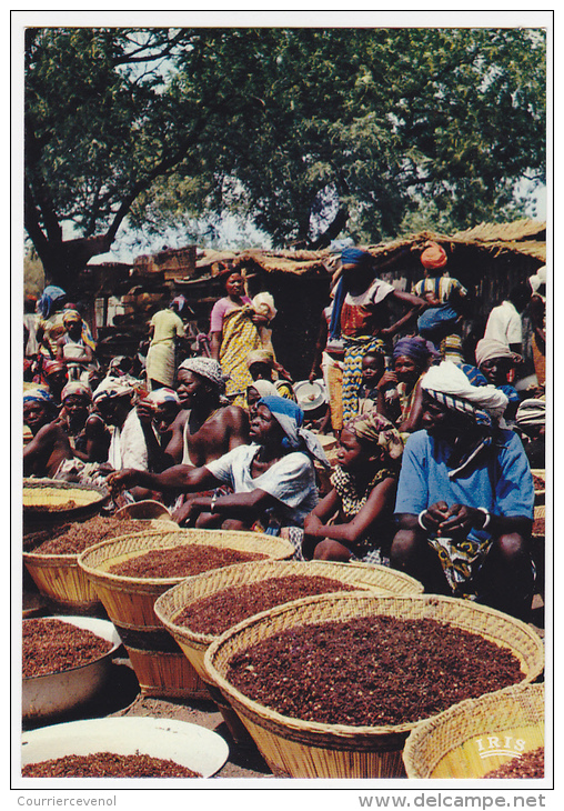 8 CPM - AFRIQUE EN COULEURS  - Pêche - Marchés, Personnages - SUPERBES...