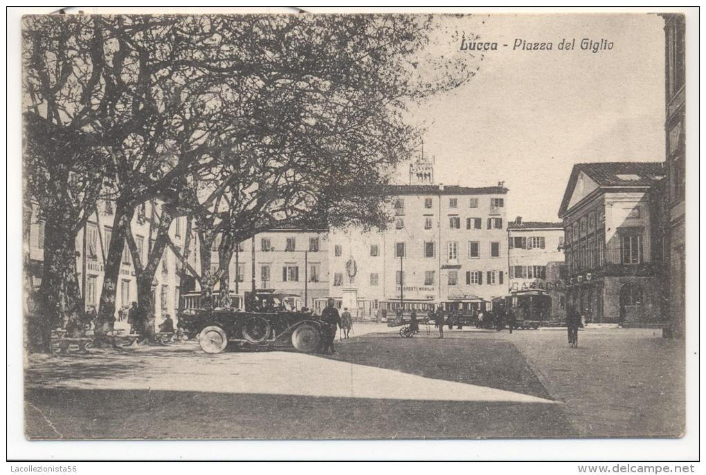 4812-LUCCA-PIAZZA DEL GIGLIO-ANIMATA-1930-FP - Lucca