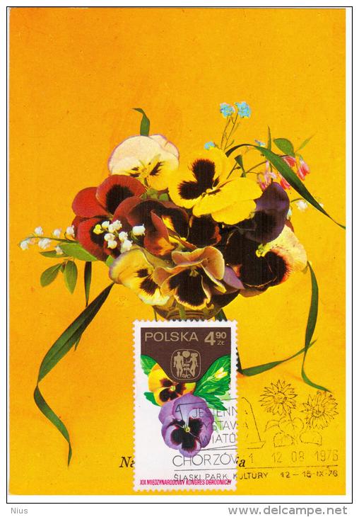 Poland 1976 Viola Flower Flowers Flora Plants In Chorzow Canceled - Cartes Maximum