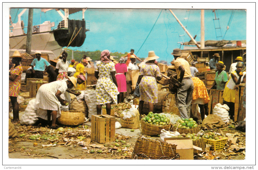 Antilles - Sainte Lucie - Busy Wharf Scene. Coast Boat Landing Fruit And Vegetables At Castries St Lucia - Saint Lucia