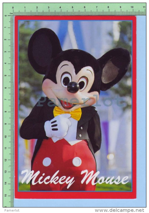 Publicité Mickey's Florida Collection (Mickey Mouse ) Recto-verso - Autres & Non Classés