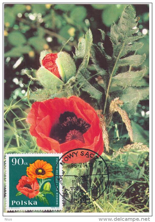 Poland 1986 Poppy Poppys Flower Flowers Flora Plants In Nowy Sacz Canceled - Tarjetas Máxima