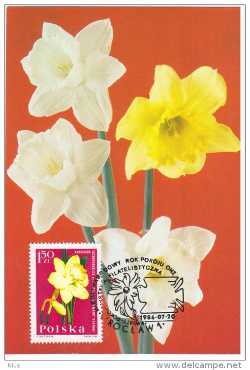 Poland 1986 Narcissus Flower Flowers Flora Plants In Wroclaw Canceled - Cartes Maximum