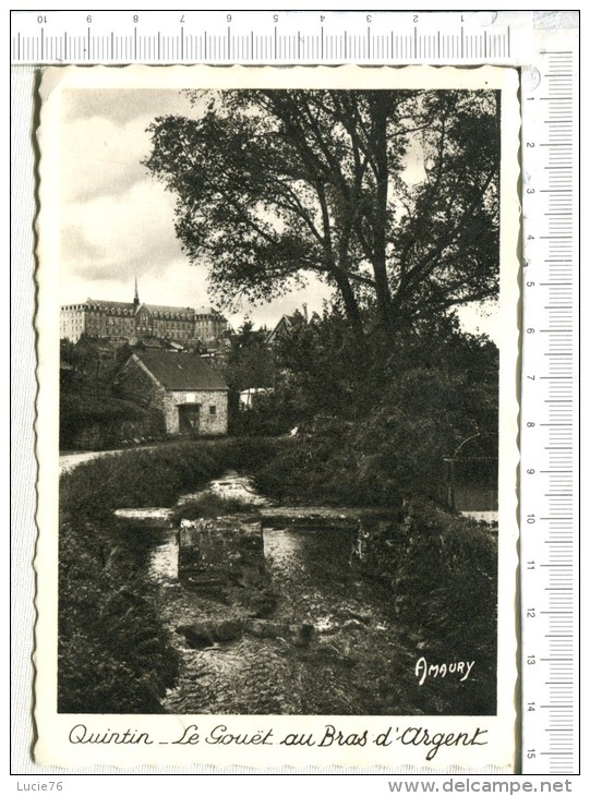 QUINTIN - Le  GOUET  Au  BRAS  D ARGENT - Quintin