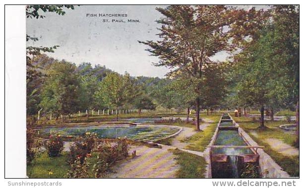 Minnesota St Paul Fish Hatcheries 1909 - St Paul