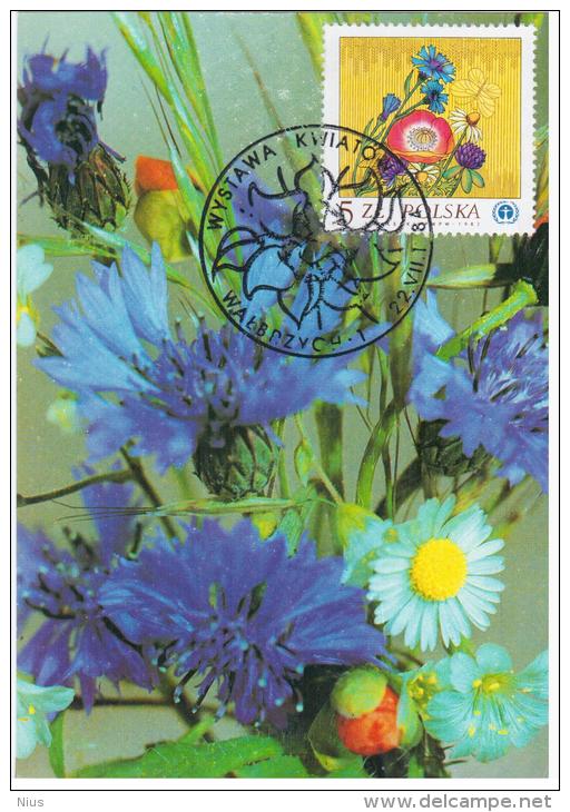 Poland 1984 Flower Flowers Flora Plants In Walbrzych Canceled Philatelic Exhibition - Cartes Maximum