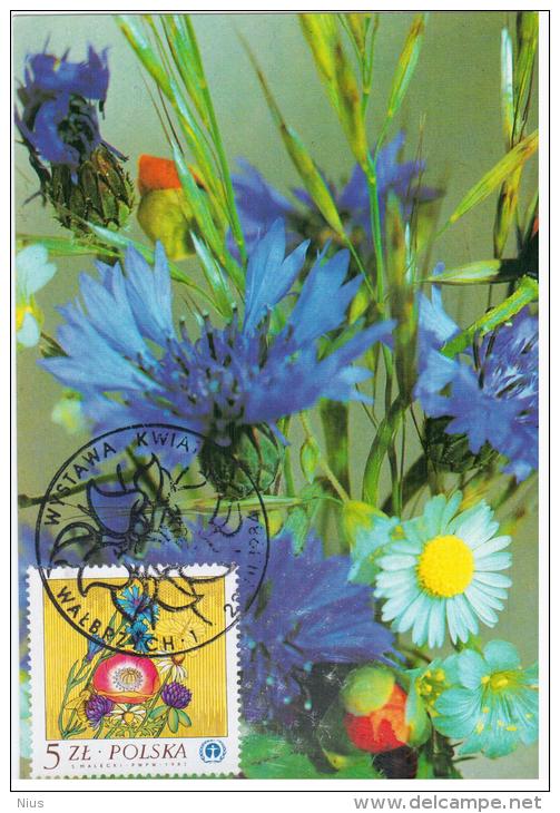 Poland 1984 Flower Flowers Flora Plants In Walbrzych Canceled Philatelic Exhibition - Tarjetas Máxima