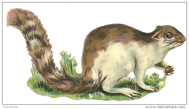 Découpis Gaufré , Putois, Dim. 9cm X 5cm - Animals