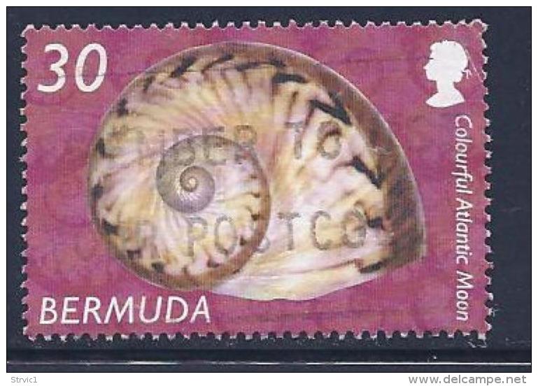 Bermuda, Scott #841 Used Seashell, 2003 - Bermuda