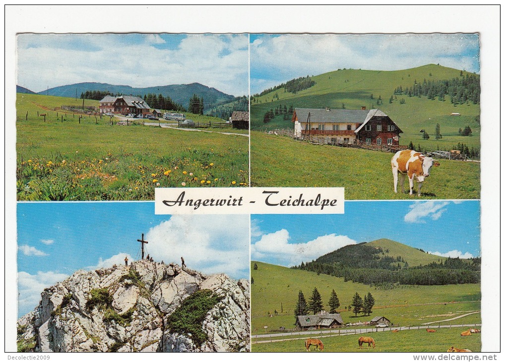 ZS44592 Alpengasthof Pension Angerwirt Cow Vaches   2 Scans - Anger