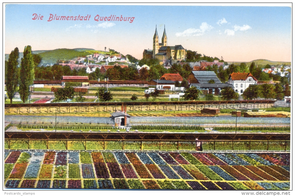 Quedlinburg, Blumenstadt, Blick Auf Die Blumenfelder, Um 1910 - Quedlinburg