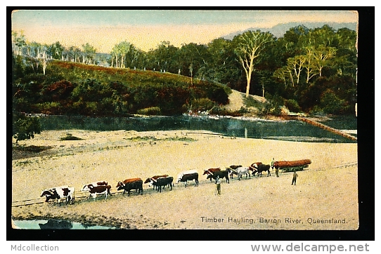 AUSTRALIE BARRON RIVER / Timber Hauling / - Other & Unclassified