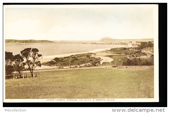 AUSTRALIE VICTOR HARBOR / Showing The Bluff And Granite Island / - Victor Harbor