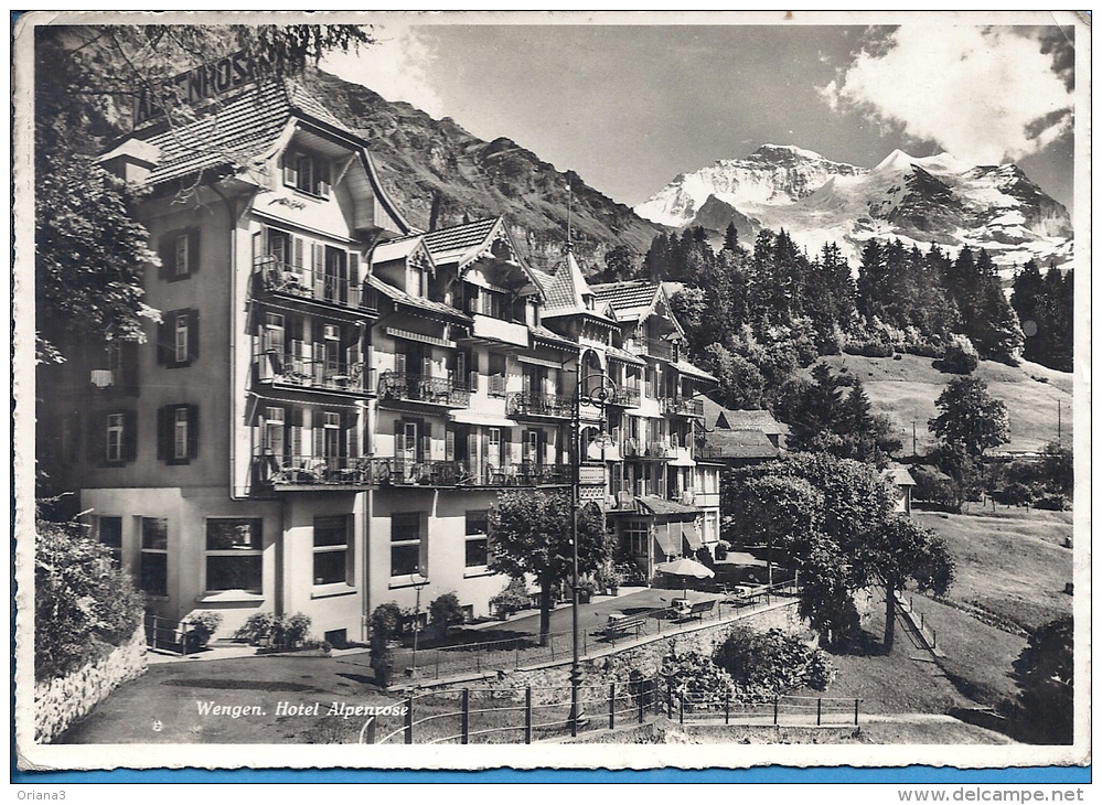 -- WENGEN -- HOTEL ALPENROSE -- CARTE PHOTO - Wengen