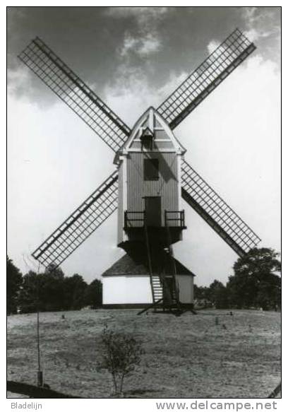 BOUWEL Bij Grobbendonk (Prov. Antwerpen) - Molen/moulin - Fraaie Prentkaart Van De Houten Molen In 1974. - Grobbendonk