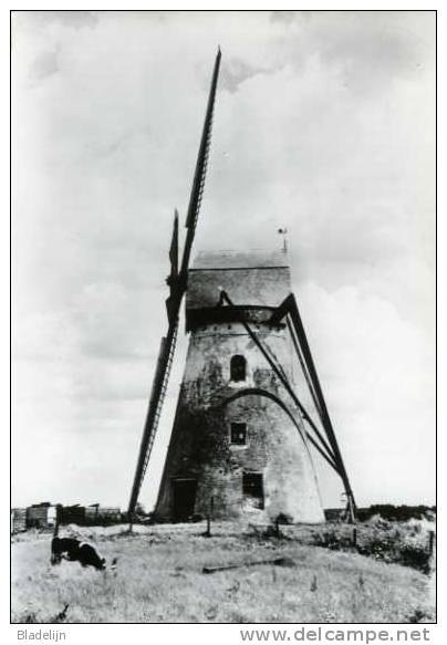 BEVEREN-IJZER Bij Alveringem (W.Vl.) - Molen/moulin - Mooie Prentkaart Van De Brouckmolen In 1976 - Alveringem