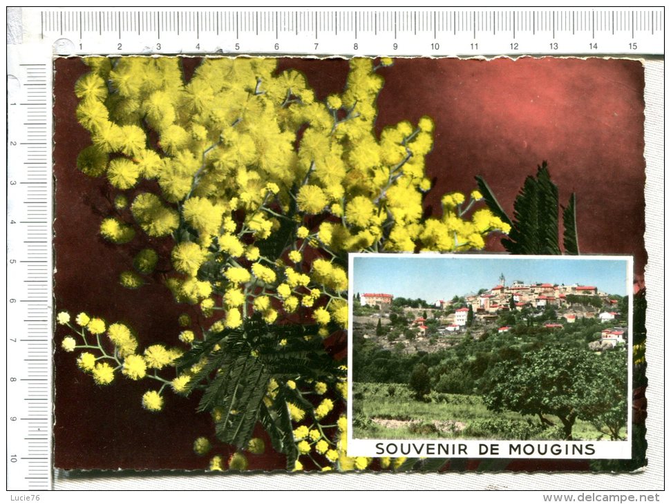 MOUGINS -   Souvenir - - Mougins