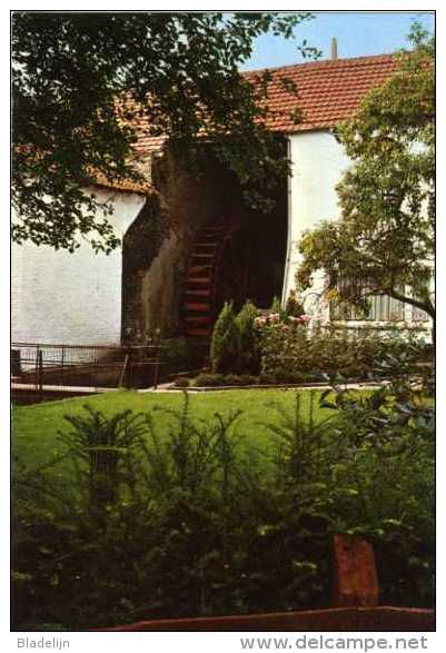 MAASEIK (Limburg) - Molen/moulin/mill - Mooie Opname Van De Wurfelder Watermolen Of Kloostermolen - Maaseik