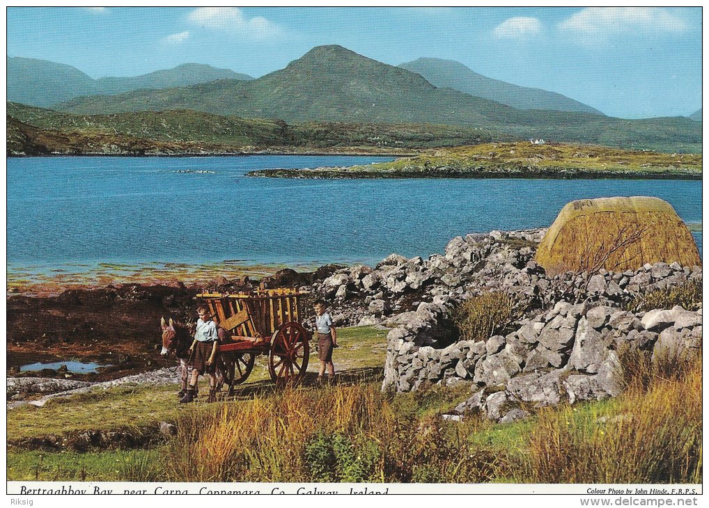 Bertraghboy Bay,near Carna,Vonnemara,Co. Galway   Ireland  # 0515 - Clare