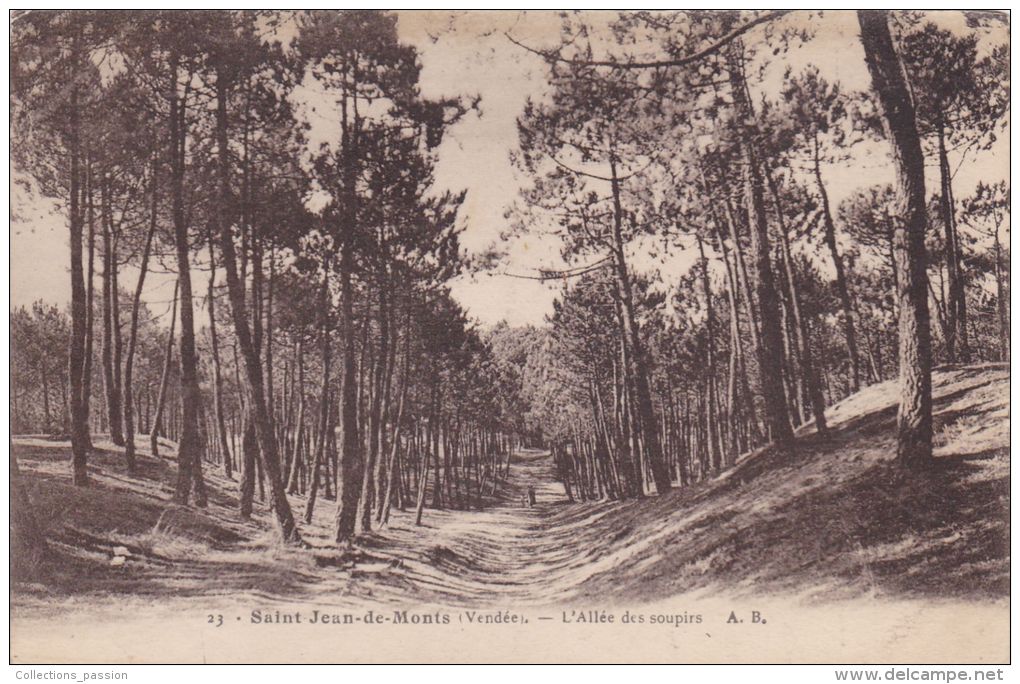 Cp , 85 , SAINT-JEAN-de-MONTS , L'Allée Des Soupirs - Saint Jean De Monts