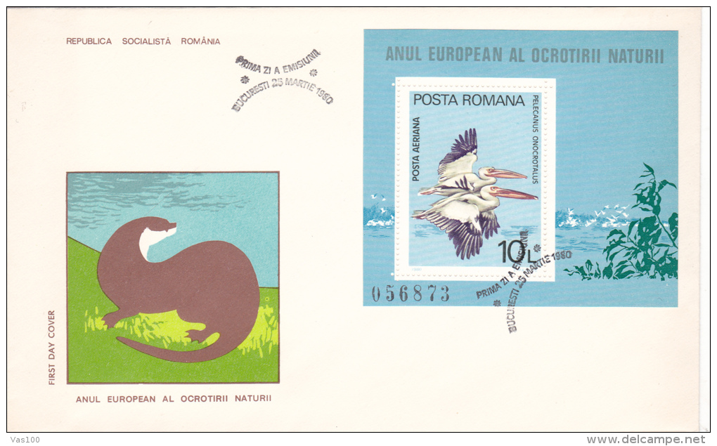 PELICANS,PELECANUS ONOCROTALUS,1980 ,COVER FDC,ROMANIA - Pélicans