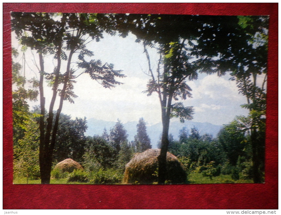 Recreation Area - Almaty - Alma-Ata - 1974 - Kazakhstan USSR - Unused - Kazakhstan