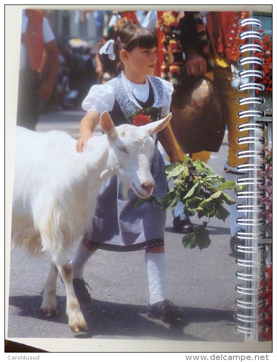 Livre SCHWEIZER PHOTO ALMANACH SUISSE 2002 - BERINGER & PAMPALUCHI ZURICH - Suisse