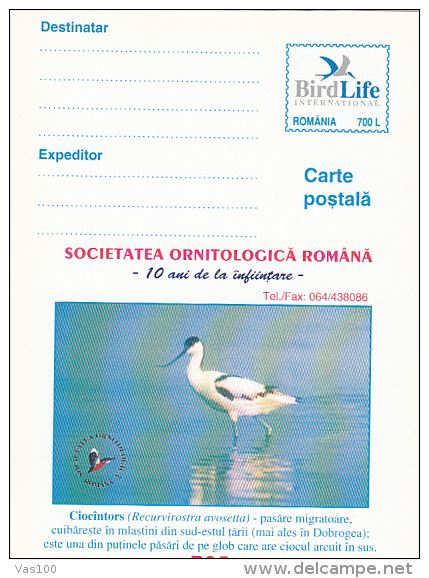 BIRDS, RECURVIROSTRA AVOSETTA, PC STATIONERY, ENTIERE POSTAUX, UNUSED, 2000, ROMANIA - Mouettes