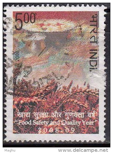 India Used 2008,  Food Safety & Quality Year, Rice Field,, (image Sample) - Used Stamps